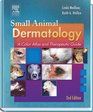 Small Animal Dermatology A Color Atlas and Therapeutic Guide