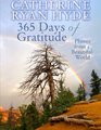 365 Days of Gratitude Photos from a Beautiful World