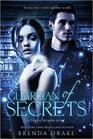 Guardian of Secrets (Library Jumpers)