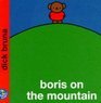 Boris on the Mountain