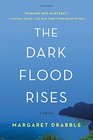 The Dark Flood Rises A Novel