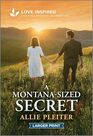 A Montana-Sized Secret: An Uplifting Inspirational Romance (Three Sisters Rescue Farm, 2)