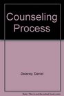 Counseling Process