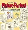 Not So Picture Perfect : Book Five of the Syndicated Cartoon Stone Soup