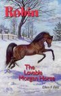 Robin The Lovable Morgan Horse
