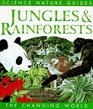 Jungles  Rainforests