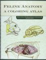 Cat Anatomy A Coloring Atlas