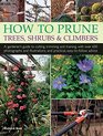 How to Prune Trees Shrubs  Climbers A Gardener'S Guide To Cutting Trimming And Training With Over 650 Photographs And Illustrations And Practical EasyToFollow Advice