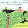 What Does the Crow Know The Mysteries of Animal Intelligence