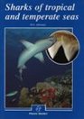 Sharks of Tropical and Temperate Seas