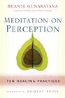Meditation on Perception Ten Healing Practices to Cultivate Mindfulness