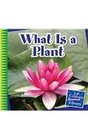 What Is a Plant
