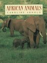 African Animals