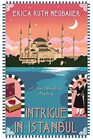 Intrigue in Istanbul (A Jane Wunderly Mystery)