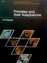 Primates and Their Adaptations