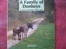 A Family of Donkeys