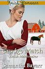 Amish Matchmaker Grudge Match