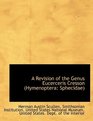 A Revision of the Genus Eucerceris Cresson