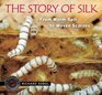 The Story of Silk From Worm Spit to Woven Scarves