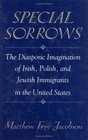Special Sorrows  The Diasporic Imagination of Irish Polish and Jewish Immigrants in the United States