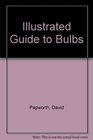 Illustrated Guide to Bulbs