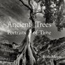 Ancient Trees Portraits of Time