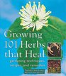 Growing 101 Herbs that Heal Gardening Techniques Recipes and Remedies