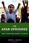 The Arab Uprisings What Everyone Needs to Know