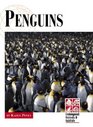 Endangered Animals and Habitats  Penguins
