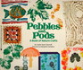 Pebbles and Pods A Book of Nature Crafts