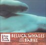 Beluga Whales and Their Babies