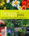 Drugs in Pots. Anne McIntyre