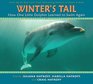 Winter's Tail How One Little Dolphin Learned To Swim Again