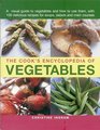 The Cook's Encyclopedia of Vegetables A Visual Guide To Vegetables And How To Use Them With 100 Delicious Recipes For Soups Salads And Main Courses