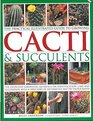 The World Encyclopedia Cacti  Succulents