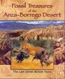 Fossil Treasures of Anzaborrego Desertartwork