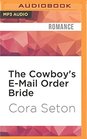 The Cowboy's EMail Order Bride