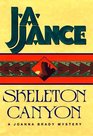 Skeleton Canyon (Joanna Brady, No 5)