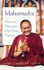 Mahamudra How to Discover Our True Nature