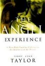The Angel Experience Simple Ways to Cultivate the Qualities of the Divine