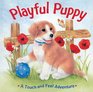 Playful Puppy A Touch and Feel Adventure