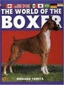 World of the Boxer Akc Rank 13