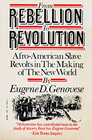 From Rebellion to Revolution AfroAmerican Slave Revolts in the Making of the New World