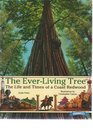 The EverLiving Tree The Life and Times of a Coast Redwood