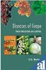 Diseases of Grape: Their Forecasting and Control