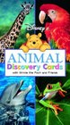 Disney Animal Discover Cards