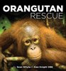 Orangutan Rescue Saving Borneo's Orangutans