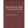 Muscles Testing and Function