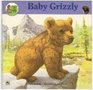 Baby Grizzly