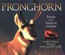 Pronghorn Portrait of the American Antelope